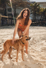 Cargar imagen en el visor de la galería, Image 14: Rio De Sol Bas Bottom Maracai Essential