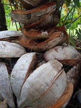 Cargar imagen en el visor de la galería, Image 03: Tiki Solaire Tiki Monoi Ao 120Ml